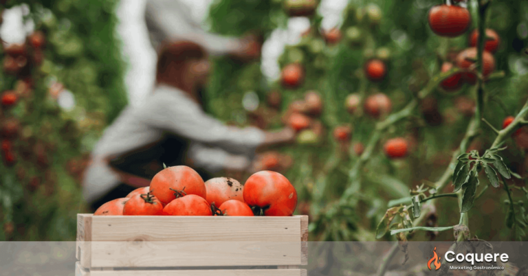 El Impacto Revolucionario de la Alimentación Regenerativa en el Marketing Gastronómico